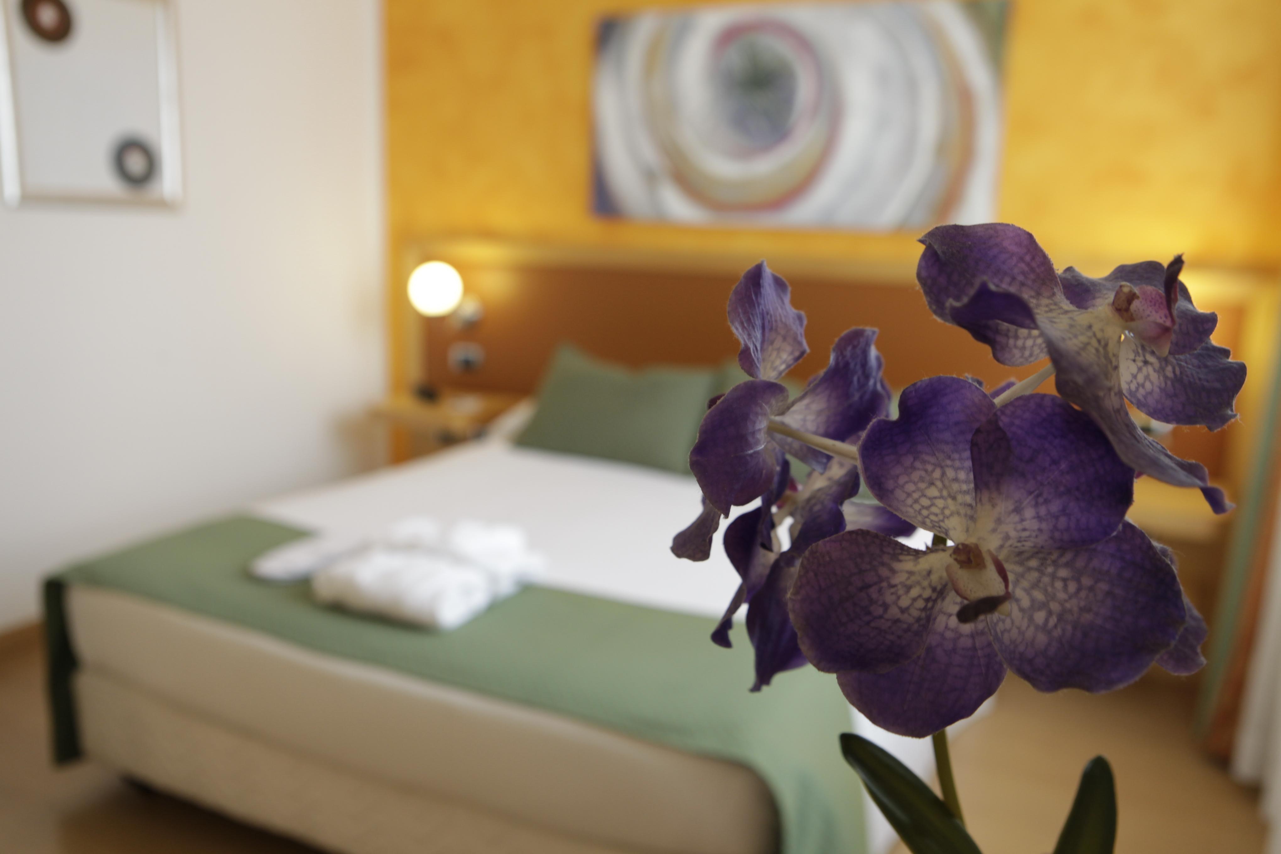Hotel Ibis Styles Roma Vintage Esterno foto